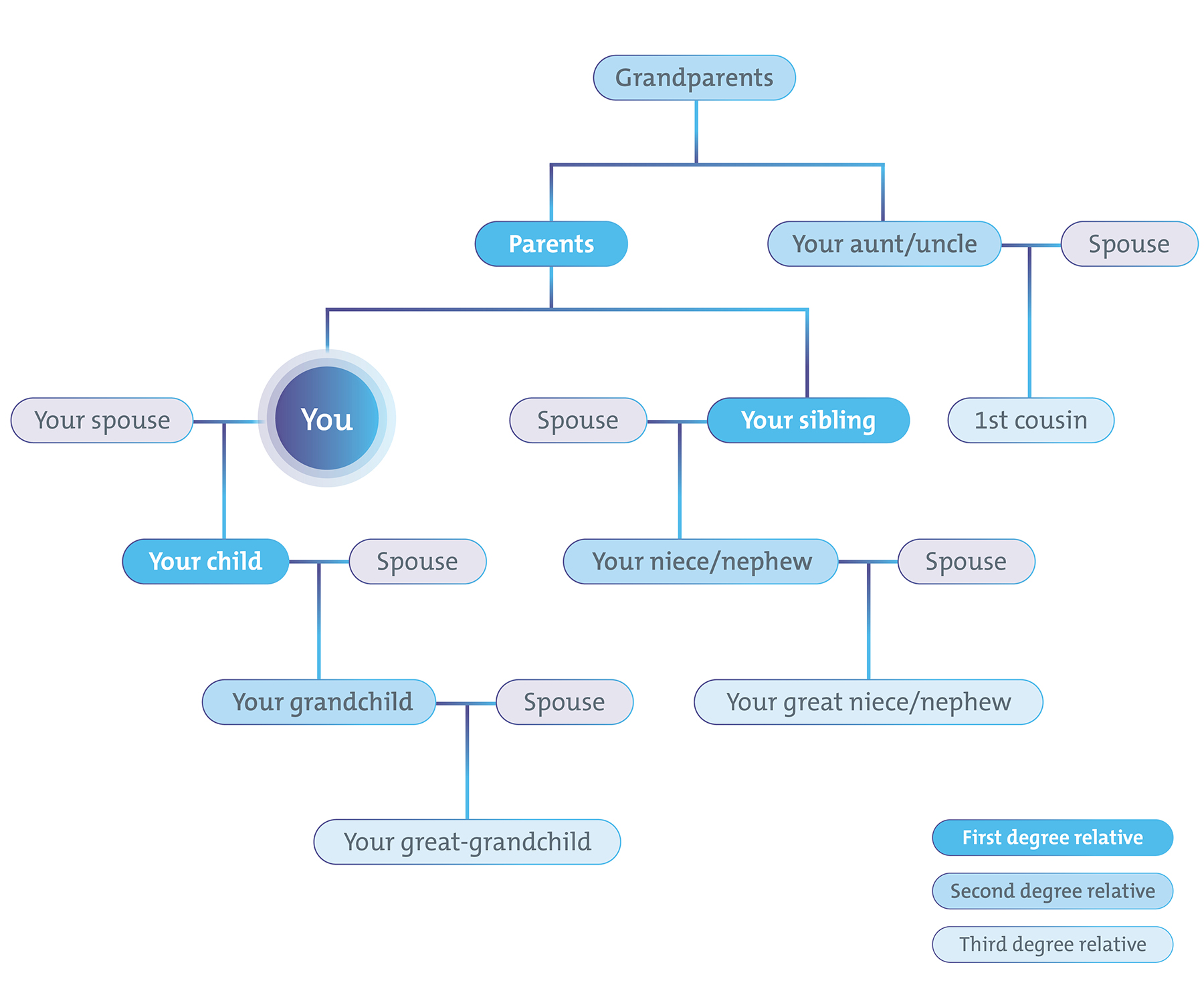 family tree
